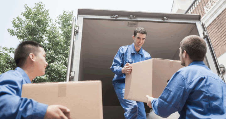 jersey moving pro